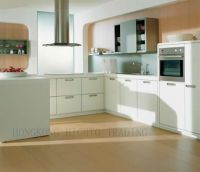 Modern Kitchen Cabinet (LF01)