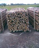 3-8 cm pine, spruce poles