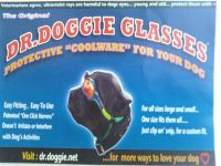 Dr. Doggie Sunglasses for dogs