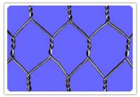Hexagonal Iron Wire Netting