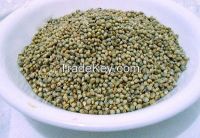 Bird Feed Pearl Millet