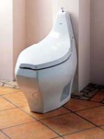 Siphonic Vortex one-piece toilet