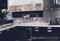 lacquer kitchen cabinet 100Di