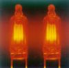 sell neon lamp
