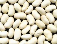 White Kidney Bean Extract / Fucoxanthin / Fucoidan