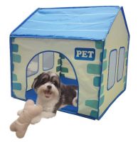 Dog House