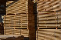 Oak sawn timber