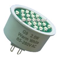 G9 Lamp, 21 SMD LEDs