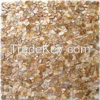 Shell pebble tile (Natural shell wallpaper)