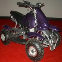 Mini Quad FLT-49cc-Rabbit03