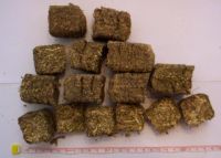 Premium Alfalfa Cubes