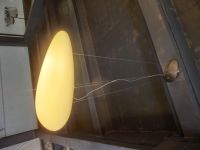 Egg Shape Pendant Light