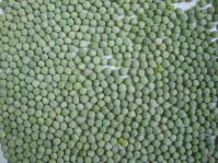 Dry green pea