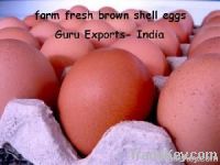 EXPORT OF WHITE CHICKEN EGG, SUPPLY FRESH INDIAN EGGS, EGG WHOLESALE