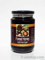 https://www.tradekey.com/product_view/100-Forest-Honey-From-Spain-101622.html