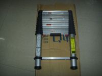 https://www.tradekey.com/product_view/3-8m-Telescopic-Ladder-134324.html