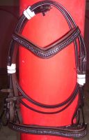Horse Leather Bridle with matching Reins