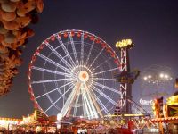 amusement equipemnt , roller coaster, ferris wheel