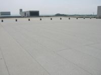 https://www.tradekey.com/product_view/Bituminous-Waterproofing-Membrane-663043.html