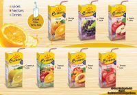 Fruit Juice 250ML