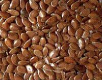Flax Seed Whole, Flax Seed Powder, Flax Seed Oil
