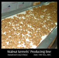 https://jp.tradekey.com/product_view/Best-Walnut-Kernels-428707.html