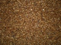 Roasted Buckwheat Kernels