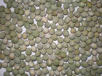 Lentils