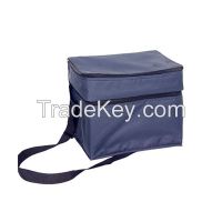 Durable bag in box cooler