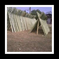 Bamboo Poles