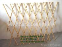 Bamboo Folding Fence with lacquer