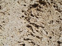 rare porous limestone for cladding, wall decoration