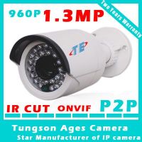 mini bullet camera P2P ONVIF 1.3 Megapixel WDR IP Camera With IR Cut Ir Ip Camera