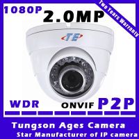 P2P ONVIF 2.0 Megapixel WDR IP Camera dome conch cctv equipment night vision