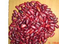 Dark red kidney beans