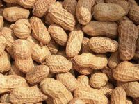 Peanut Product