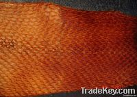 Salmon leather