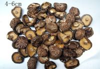 Dried mushrooms