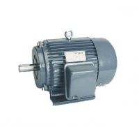 Induction Electric Motor Three Phase