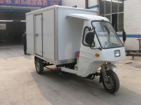 3(Three) wheeler Cargo tricycle/trike/motorcycle