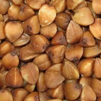 Roasted Buckwheat Kernel