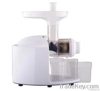 Electrical Slow Juicer