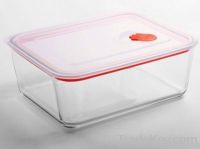 Borosilicate glass airtight food container