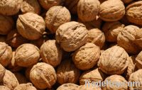 China walnuts