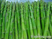 Frozen Green Asparagus