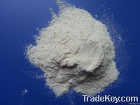 Horseradish Powder