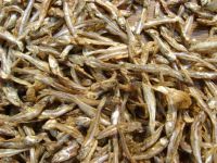 Dry  fishes