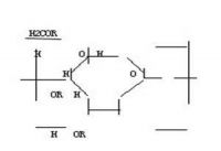 Carboxy Methyl Starch (CMS)