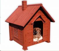 Dog House