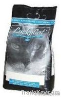 Cat litter - bentonite in PE bags